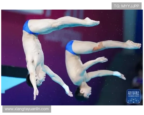 白钰鸣杨昊默契配合勇夺全运会跳水男子双人十米台冠军再展中国跳水实力